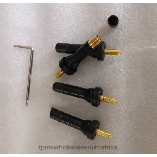 TPMS South Africa - TPMS Rongwei Tire Pressure Sensor 10718213 8PJ481257